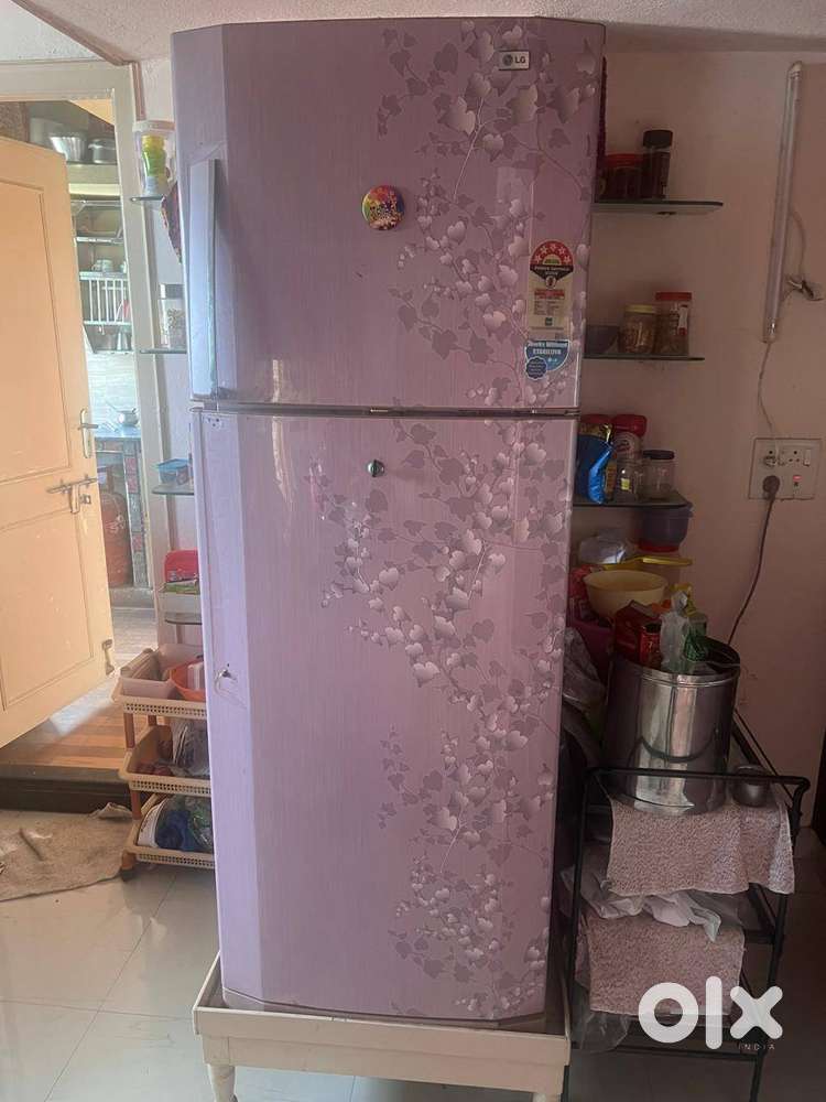 LG 290L 5 Star Rating, Double Door.