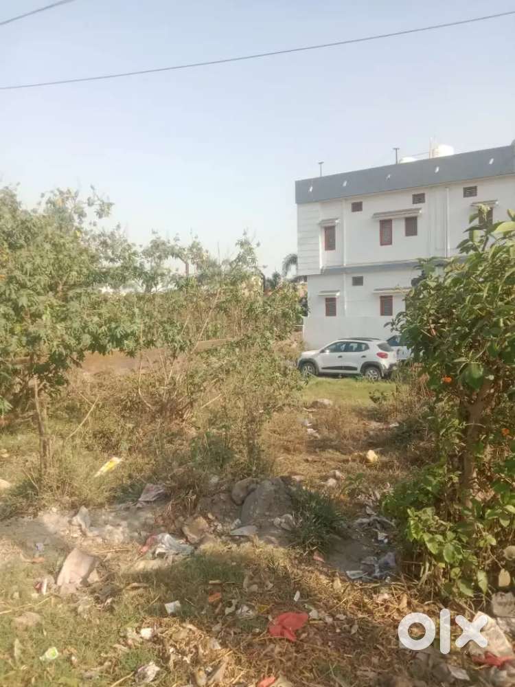 Mahrshi school teen tas wali road