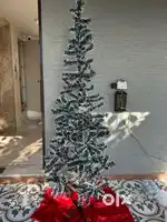 Brand new Christmas tree
