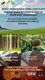 Farmland plots for sale