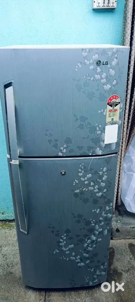 Lg double door fridge