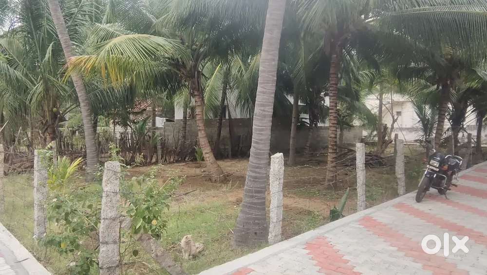 4 cent land for sale at thengaikarankudierupu
