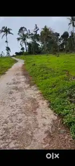 Dry land for Sale in Wayanad Kolavayal