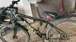 Bosky Bicycle