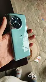 OnePlus 11    Green 16 256 GB Sell Or Exchange