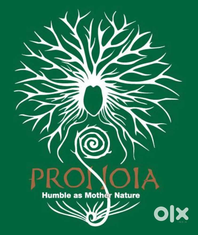 Pronoia eye opener delivery vacancy