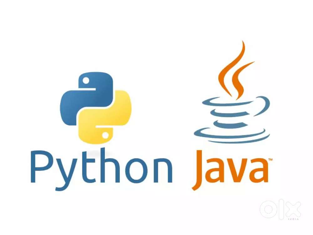 Learn Python and Java from scratch to job-ready
