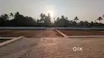 കൊച്ചിയുടെ ഹൃദയഭാഗത്ത് പ്രീമിയം പ്ലോട്ട് സ്വന്തമാക്കൂ ഇപ്പോൾതന്നെ