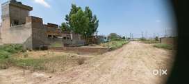 Super Offer On Plot 254 Gaj In Vintage Homes