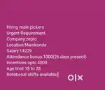 Wanted male (picker&loader) NCB ENCLAVE