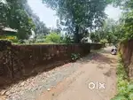 Nedumbassery poykkattussery 12.5 cent house plot for sale immediately