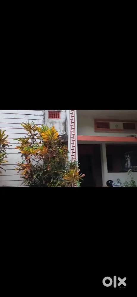 Independent house near Rosera, Cinema chowk.