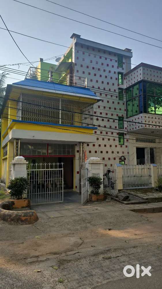 Required accountant urgently