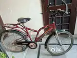 Razorback 22