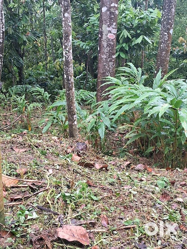 Residential plot for sale