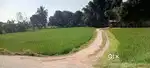 My land panapakkam