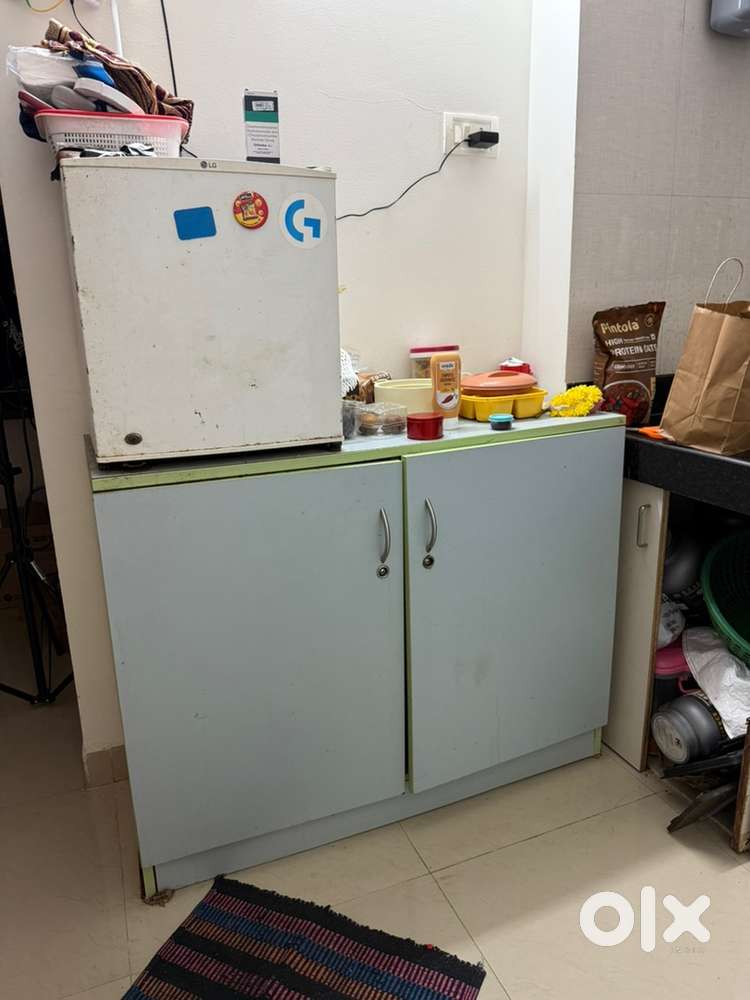 Mini fridge and wooden cabinet