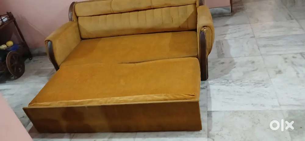 Sofa cum bed  Rs 4500