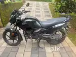 Unicorn for sale