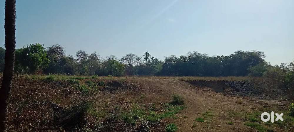 NH 48valsad dungri to only 700mt inside property sale 1 vigha rate 75L