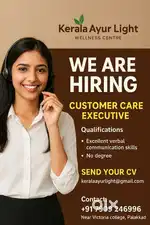 Customer care executive