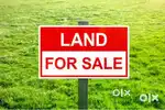 Urgent plot sell double road the taqila river plot ke samne