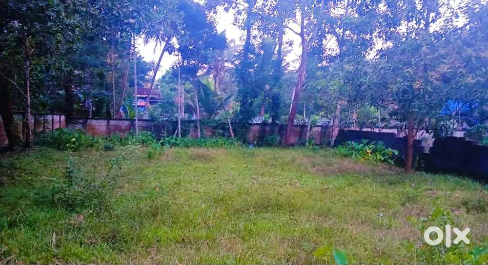 ചേർത്തല കിഴക്കേ നാൽപതിനു സമീപം 9 സെന്റ് 2.30 ലക്ഷം