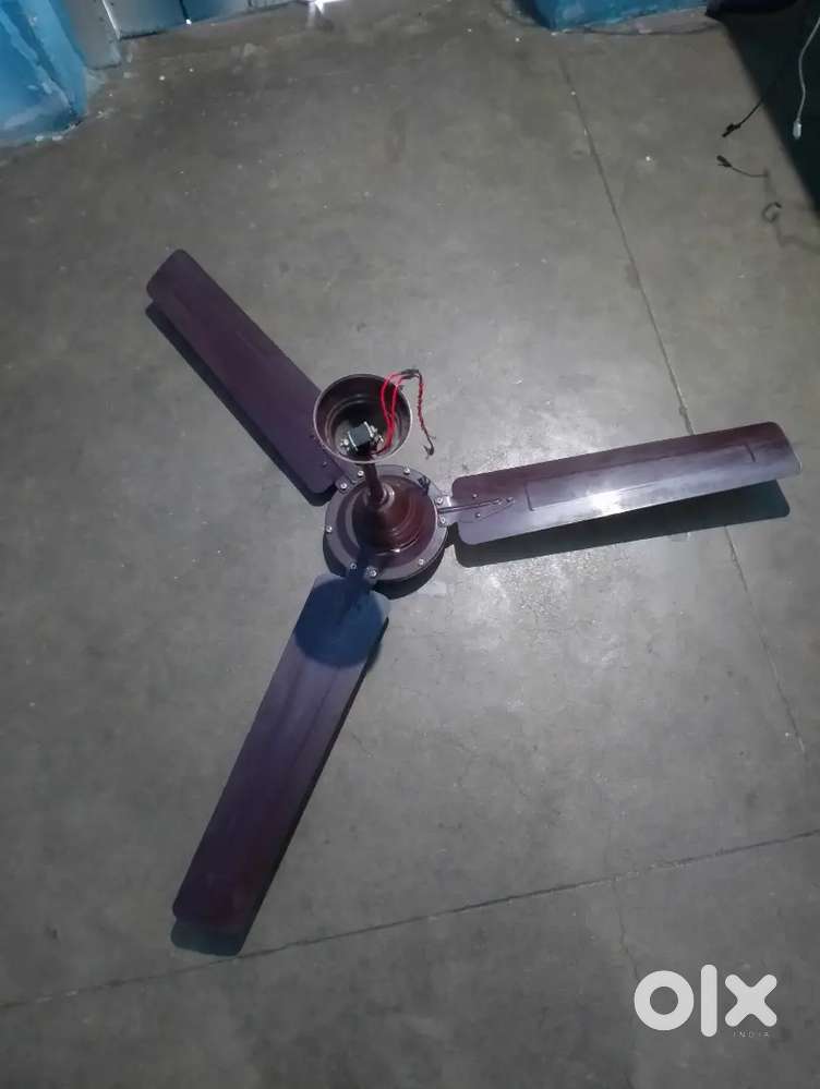 Ceiling fan