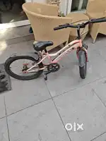 Hero Spider kross 16 bicycle