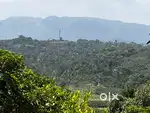 One Acre Resort/Holiday house land@Wayanad