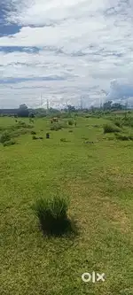 Srikuna near pawar gate 1/1.5/2.5 bigha plot for sale
