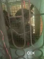 18 inch exhaust fan coper( fixed price)