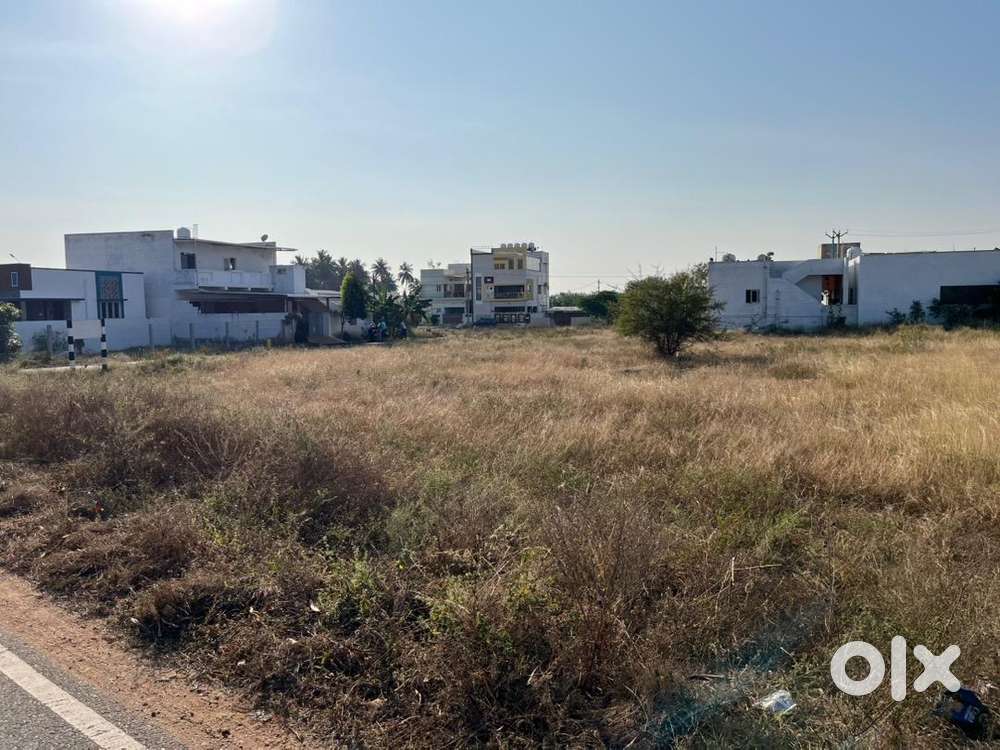 பெருமாநல்லூர் கொண்டத்து காளியம்மன் கோவில் பின்புறம்