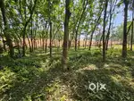 Plot for sale