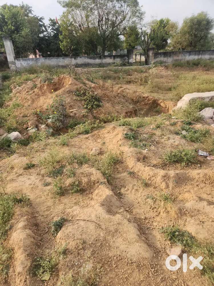 Nh 11 to distance 500 mtr