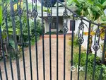 Sharing single Room for single executive bachelor