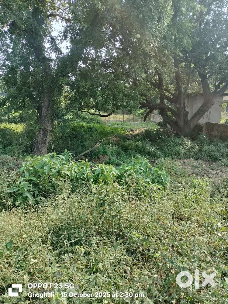 Nehiya babatpur Airport road