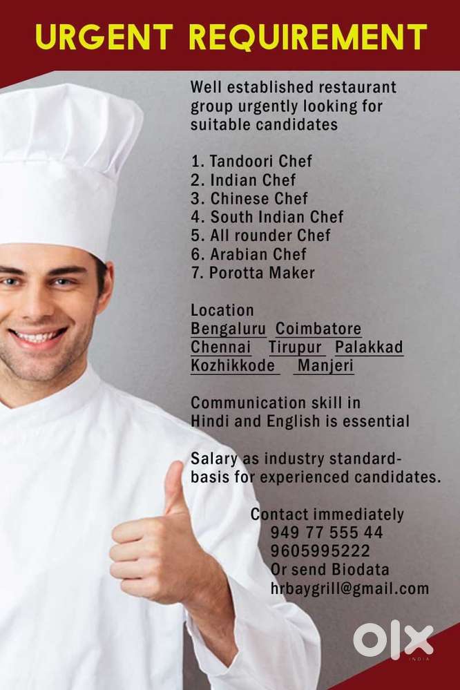 All-rounder Chef (Chinese,indian,Tandoori)