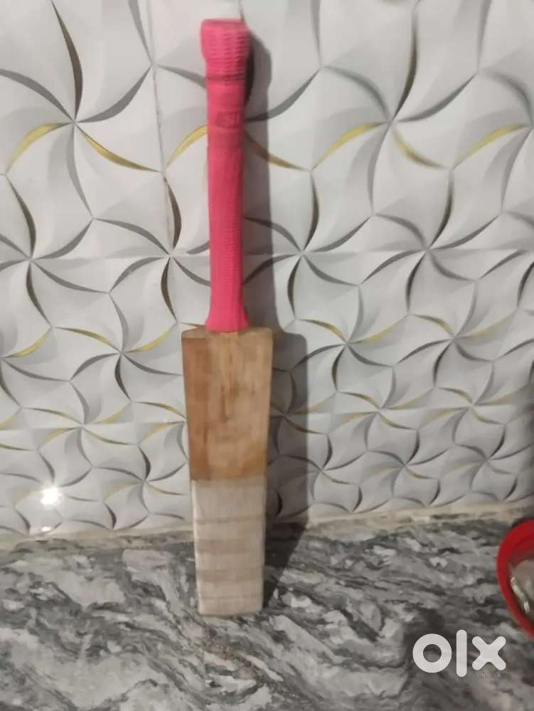 Cricket bat