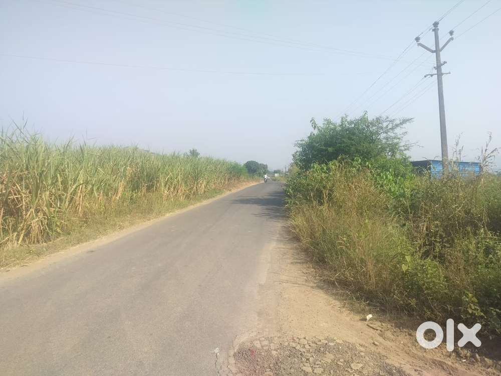 Square shape, main road plot