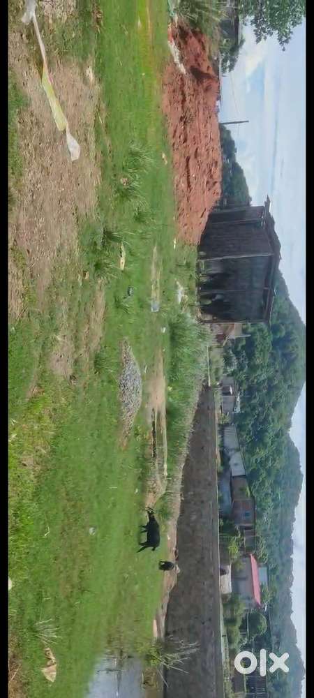 Engineering college road