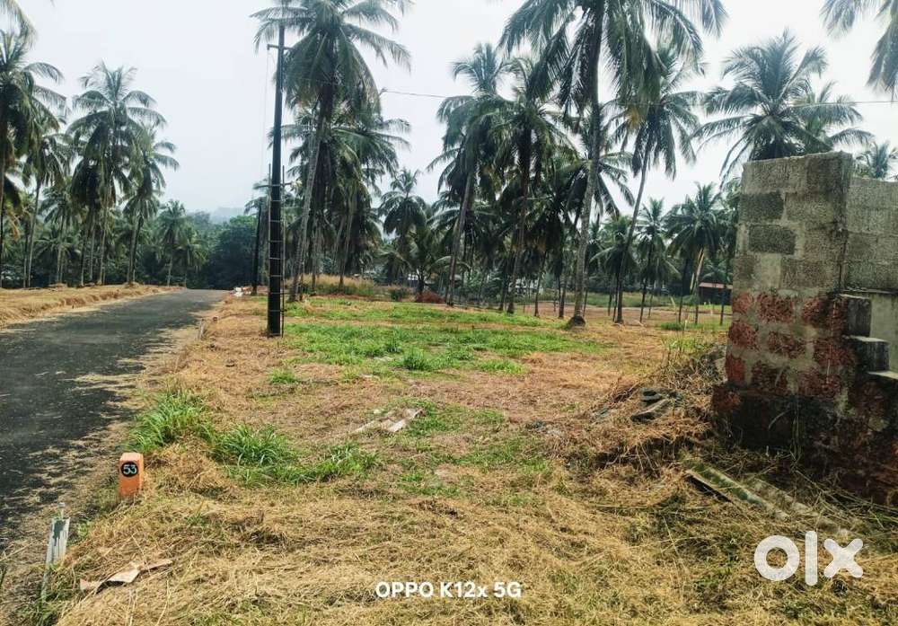 Premium plots near Mannarkkad for sale