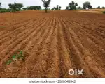 EMPTY LAND FOR SALE