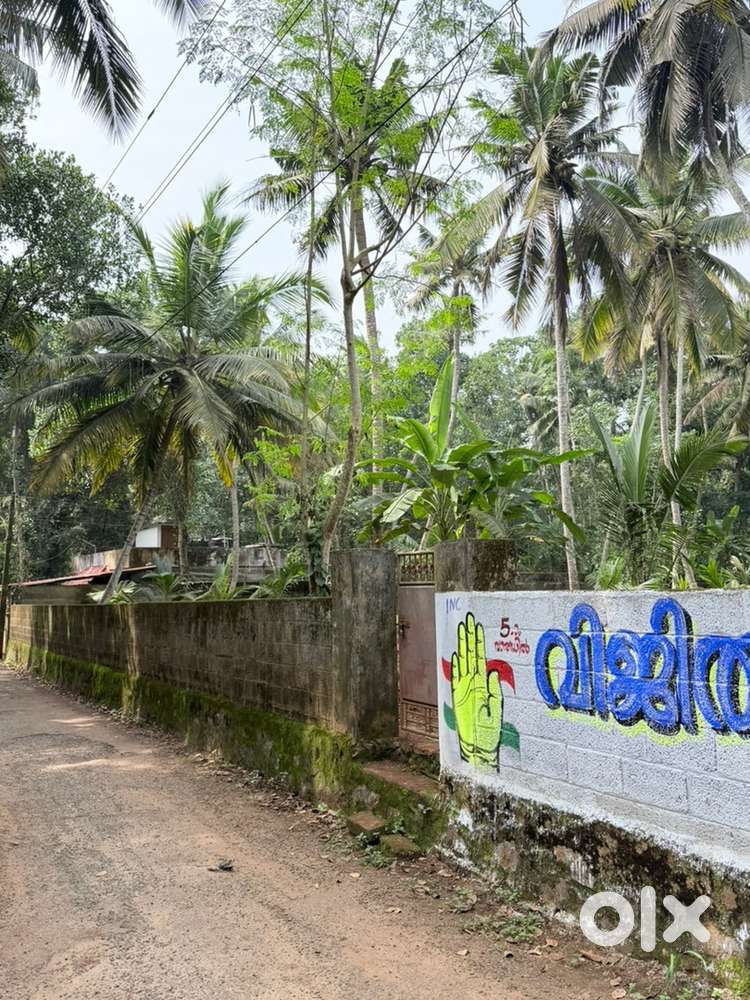 16 cent plot in paraniyam