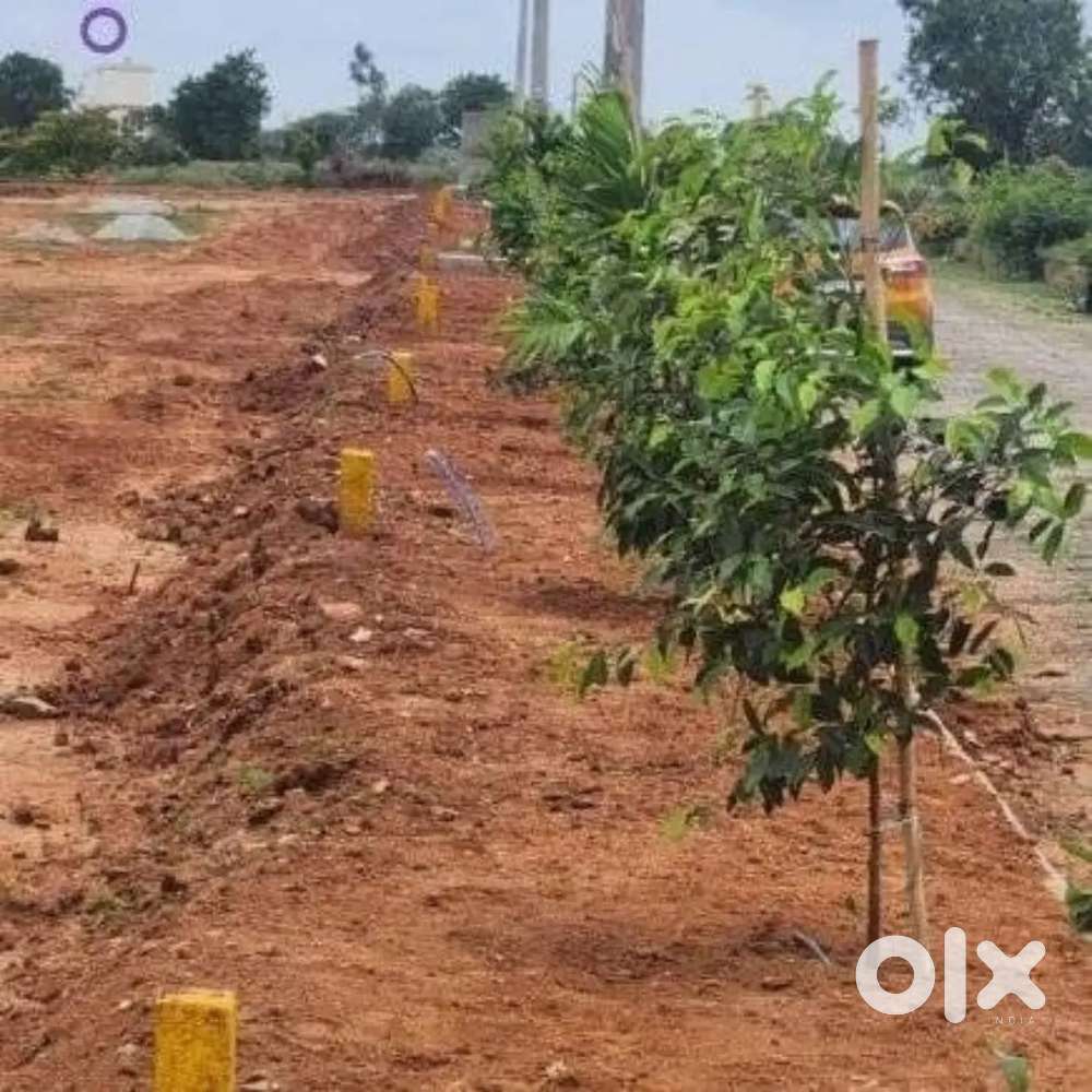 Plots in yadagirigutta