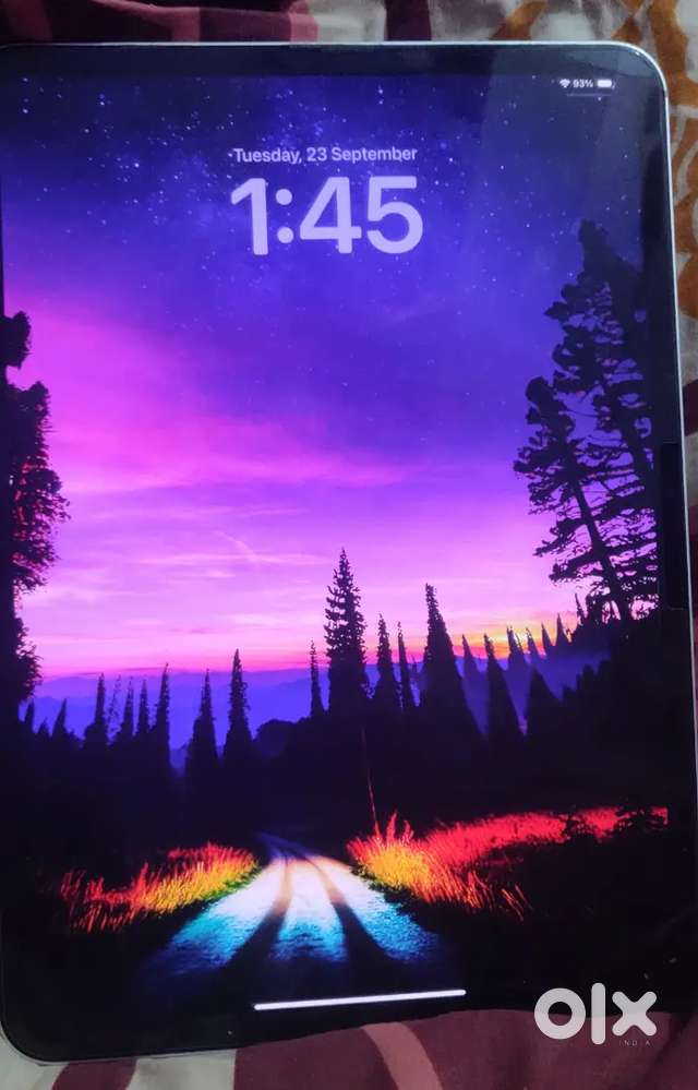 Ipad pro m4 11 inch wifi only