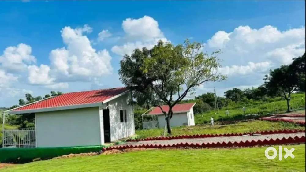 Agriculture farm land