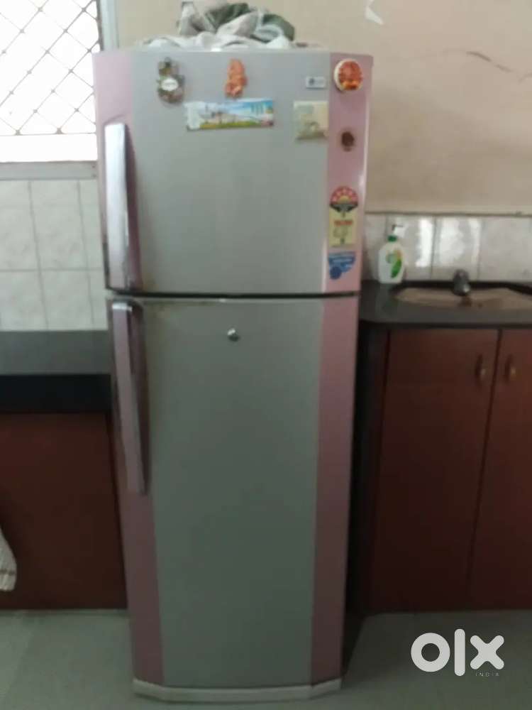 Double Door Fridge
