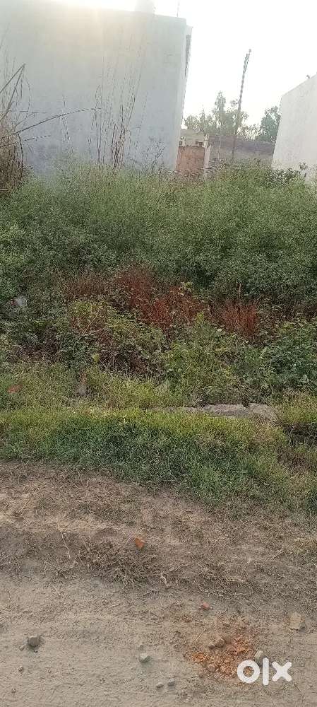 25,000 rupee per gaj ha ( 125 gaj ka plot ha )