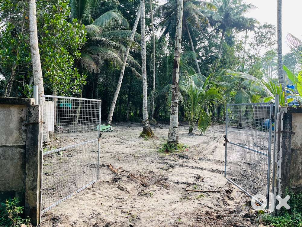 Near puthupally ,road  anakunnel mukk